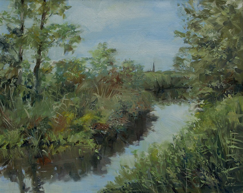  Albert-Jan Cool: aquarellist en schilder