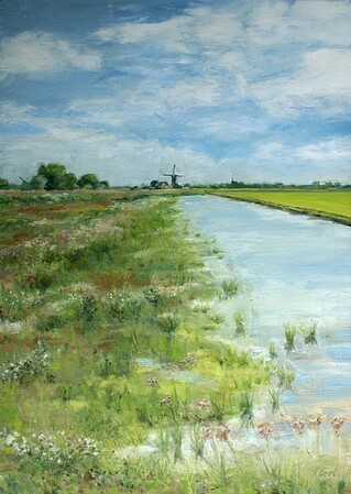 Natuurterrein Gravenpad Leiderdorp - 2017