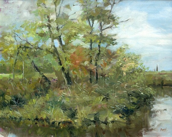 Nieuwkoop - Lusthof 'De Haeck'